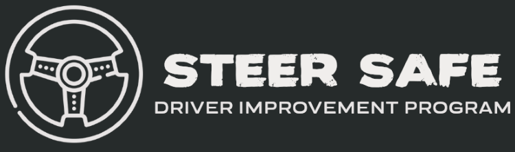 Steer Safe LLC – Steer Safe LLC